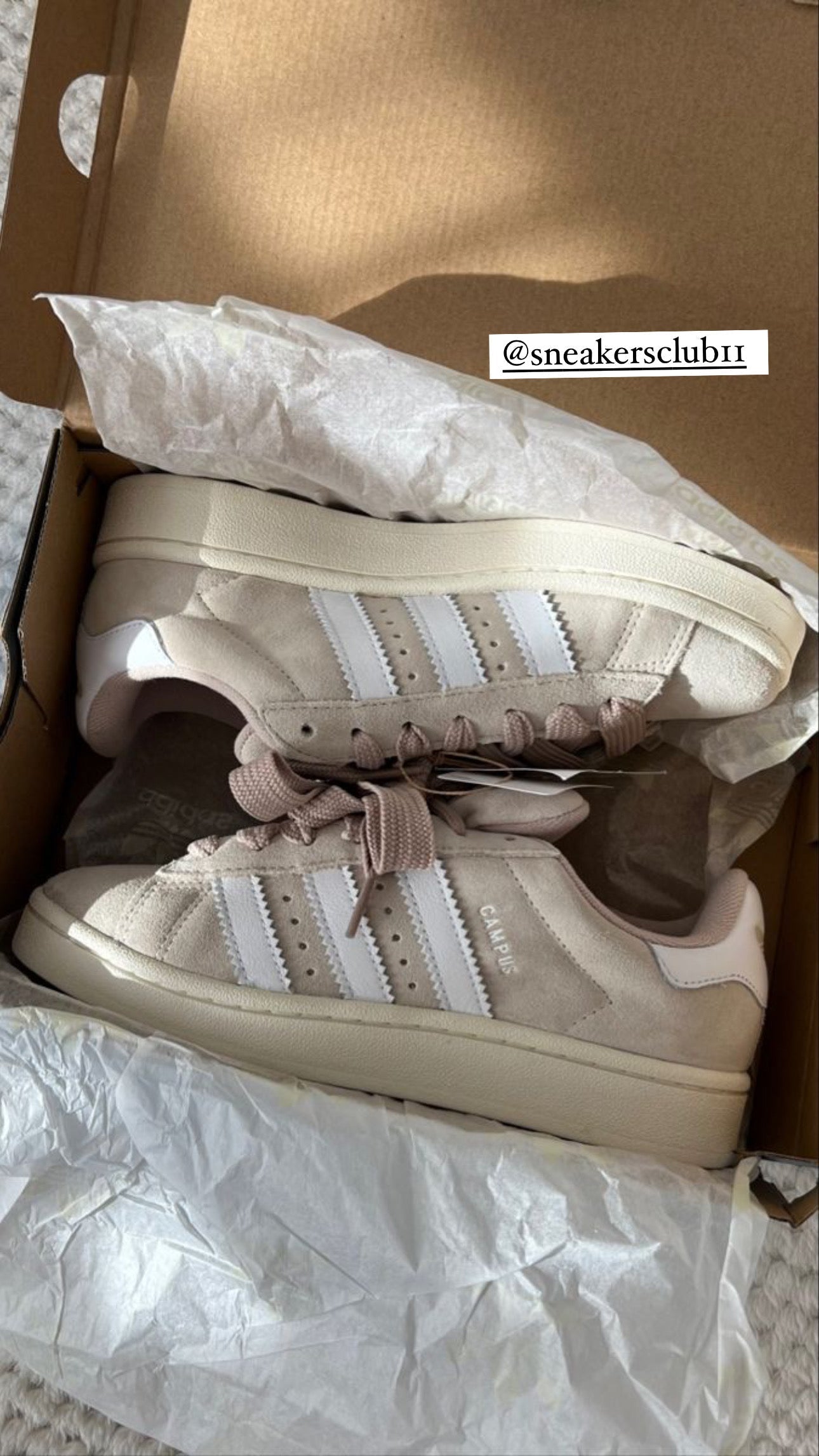 Adidas campus wonder white ????? 36,